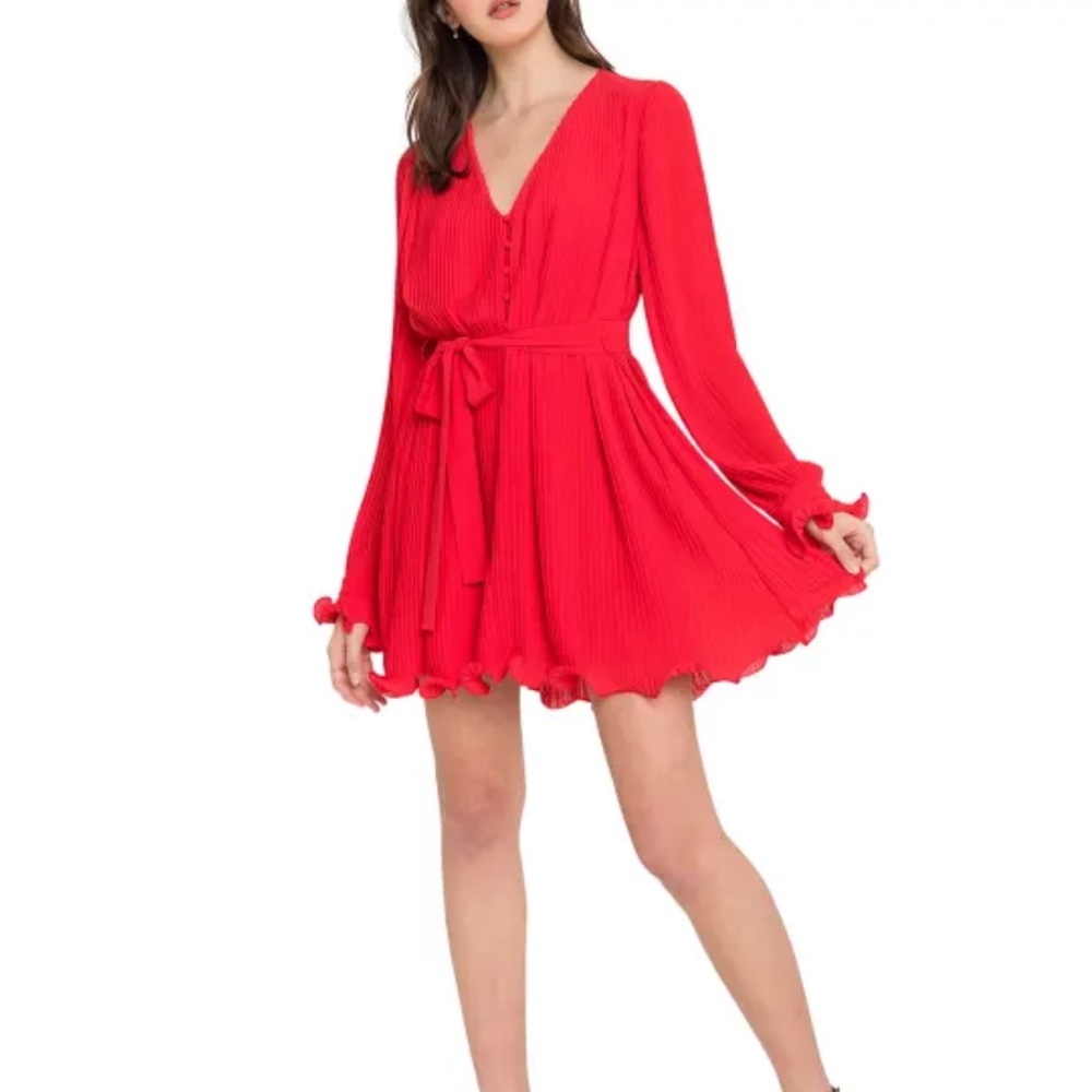 NWT endless rose red pleated fit and flare chiffon mini dress